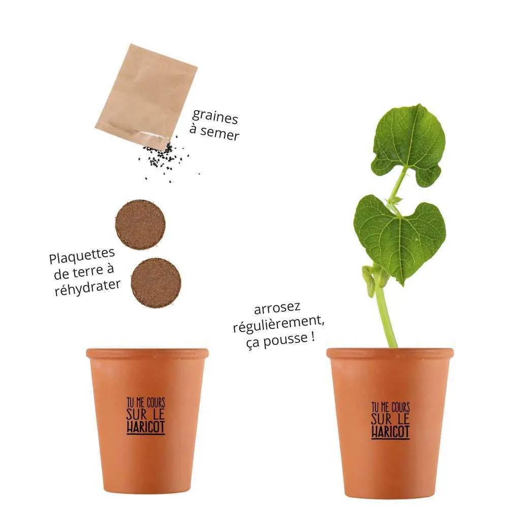 Kit de plantation message "tu me cours sur le haricot"